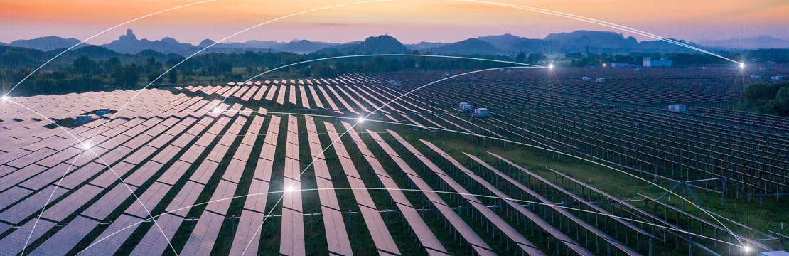 Image of a large solar farm in the sunrise